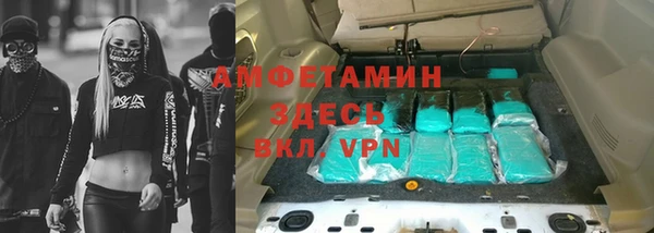 сатива Карпинск