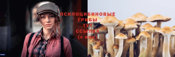 дурь Каменногорск