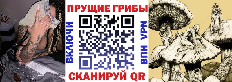 Псилоцибиновые грибы ЛСД  Купить где  Волосово 